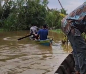 Screenshot_20260325-214414_WhatsApp